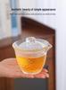 Portable Quick Brew Glass Teapot with Cups - Outdoor Travel Gongfu Tea Set
