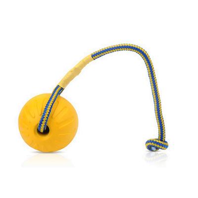Funny Bite Resistant Training Ball Chew Toy with Rope for Pet Dog