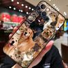 French Bulldog Beagle Dogs Pattern For iPhone 12 11 14 13 Pro Max Mini XS Max XR X SE 2020 6S 7 8 Plus Case Phone Back Cover
