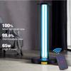100W UV 38W/65W Ultraviolet Germicidal Lamp Ozone Disinfection Lamp With Remote Control Sterilizer Light