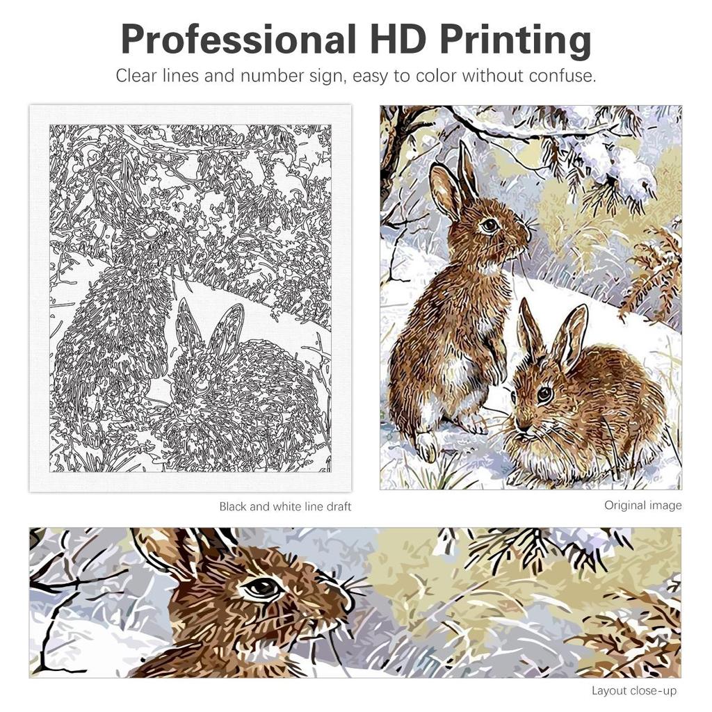 Rámová malba podle čísel Sady pro dospělé Sady Králík Dárek Sníh Krajina Ruční práce Obraz Pro domácí dekorace 40x50