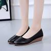 Spring and Autumn Women's Single Shoes Pointed Wedge-heeled Small Leather Shoes Shallow Mouth Working Mother Shoes Trend
