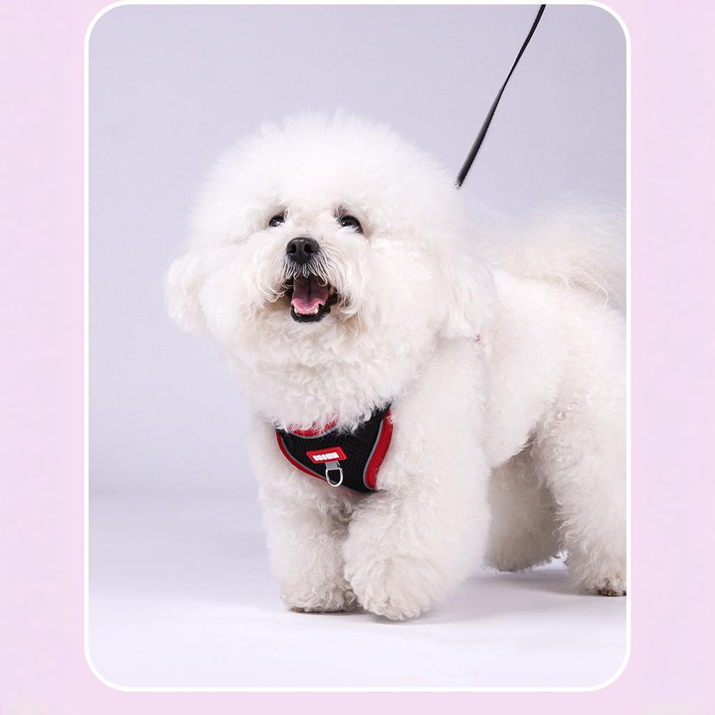 wanheart and Leash Set Escape-Proof Adjustable Leash and Combo Suitable for All Breeds