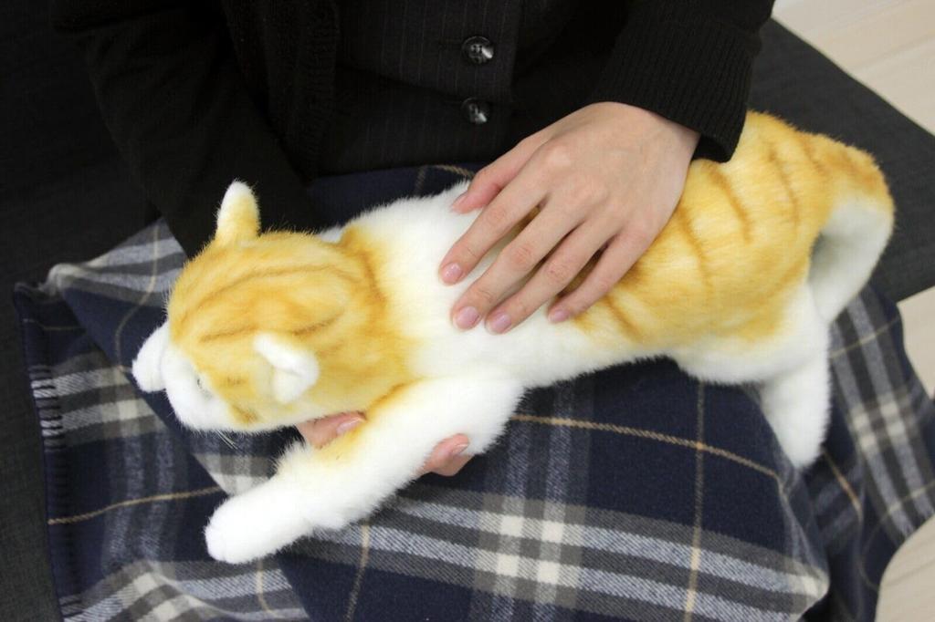 Doshin Real Series, Made In Japan, Realistic Cat Plush Toy, 58cm (Black Cat L, Sleeping) (2503)