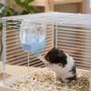 Large Capacity Automatic Water Kettle Drip-proof Hamster Water Bottle  Small Animal Cage