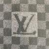 LOUIS VUITTON M74200 Damier wool Echarpe Petit Scarf black wool Used