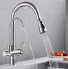 TLXT Black Brass 3-in-1 Kitchen Pull-Out Faucet
