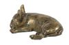 Französische Bulldogge, Frenchie V - Hundestatue, Figur fürs Büro, Trophäe für Hundeausstellung der Marke Art-Dog