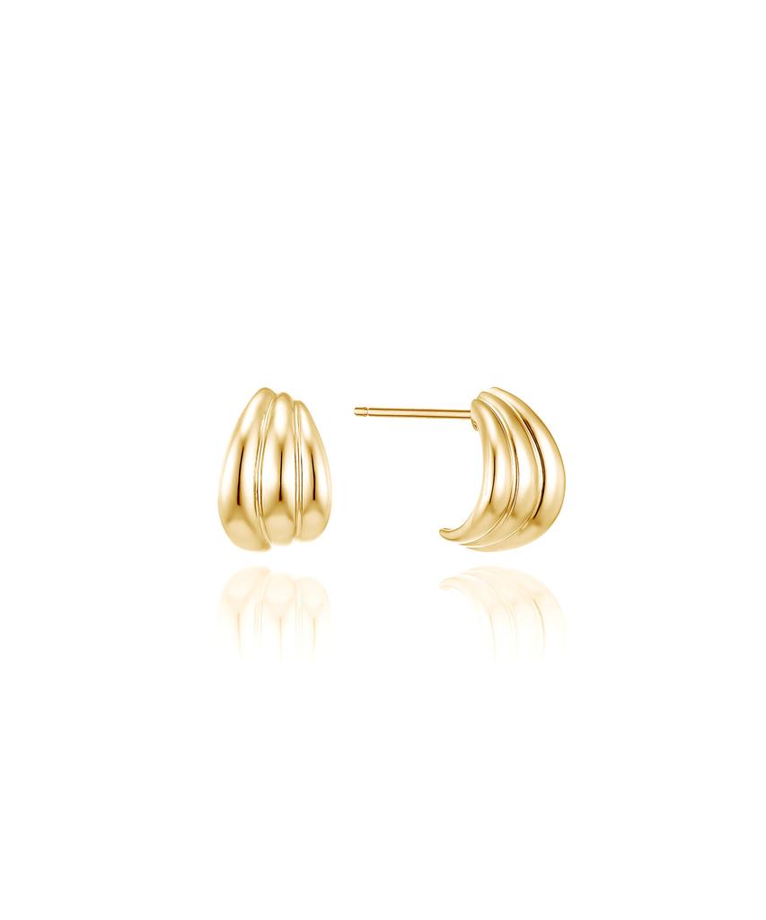 Lloyd Shell Volume Hoop Gold Pin Earrings Lphp3005H