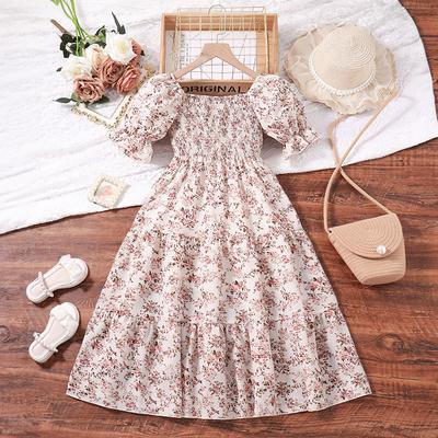 Girl's Dress Big Girl's Clothing Girl's Western-style Princess Style Dress