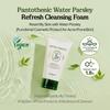 SKINFOOD - Pantothenic Water Parsley Refresh Cleansing Foam