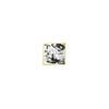 GenShin Fes2026 Merch Anime Artboard Prints YS-2512-0005