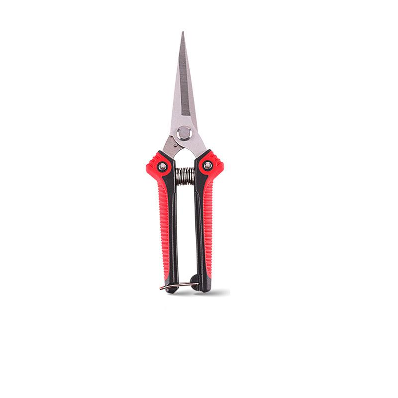 Edelstahl-Baumzweig-Beschneiden, Obstgartenarbeit, Obstbaum-Beschneiden, Blumenzweig-Gartengeräte, Blumengartenarbeit-Schere