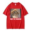 Wait Lm Thinking Funny Cat Meme Tee Shirt Unisexs Unisex Clothing Fashion Humor Trend Tshirts Casual Oversized T Shirt Streetwear