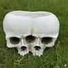 Gothic Style Gift Double Skull Flowerpot for Succulents Green Plants, Realistic Resin Planter, Small Pot Plant Halloween Party & Indoor Outdoor
