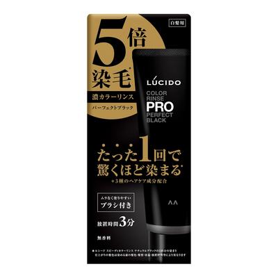 LUCIDO Color Rinse PRO Perfect Black Hair Color Treatment 120g - Semi-Permanent Hair Dye Conditioning Rinse