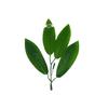 Handgefertigte Grüne Künstliche Blätter in Multi-Stil für Blumenstrauß- oder Bonsai-Dekoration