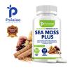 Seaweed, Fucus Vesiculosus, and Burdock Root Complex Capsules - Immune System Health