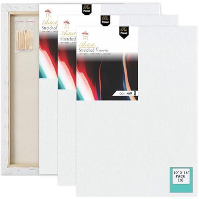 Variety Canvas 10 X 14 Inch 3 Piece Pre Stretched Canvas Board For Painting With Wooden Frame