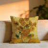 Van Goghs Works Cushion Cover Cozy Velvet Throw PillowSoft Warm Cushion For Sofa  Bed
