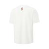 Li-Ning Comfortable Simple Round Neck Pullover Versatile Printed Short Sleeve T-Shirt Men Tops AHSVJ57-1