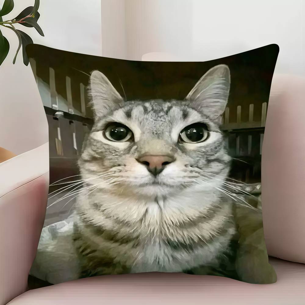 

Мем с котом Каваи Животное Смешная Наволочка Декор Защитные Чехлы Удобная Мягкая Для Дивана Гостиной Дома Офиса 1 шт. 18x18Inch