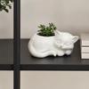 DYS 3D Printed Sleeping Cat Flowerpot, Mini Desktop Planter, Decorative Plant Holder for Succulents Small Green Plants