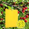 10Pcs Heat-resistant Fly Sticky Board Reusable PP High Stickiness Thick Sticky Pest Catcher for Garden