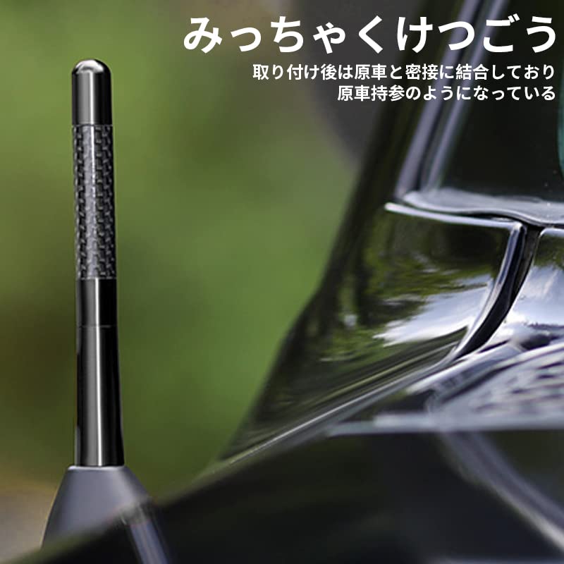 [REYLNXR] Car Antenna, Car Radio, FM/AM High Sensitivity, Universal Model, Car Antenna (Color: Black, Size: 4.7 Inches (12 Cm)