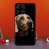 Weimaraner Dog For Samsung Galaxy M06 M16 M14 M34 M54 M11 M21 M31 M13 M33 M35 M53 M55 M15 M12 M32 M52 Case