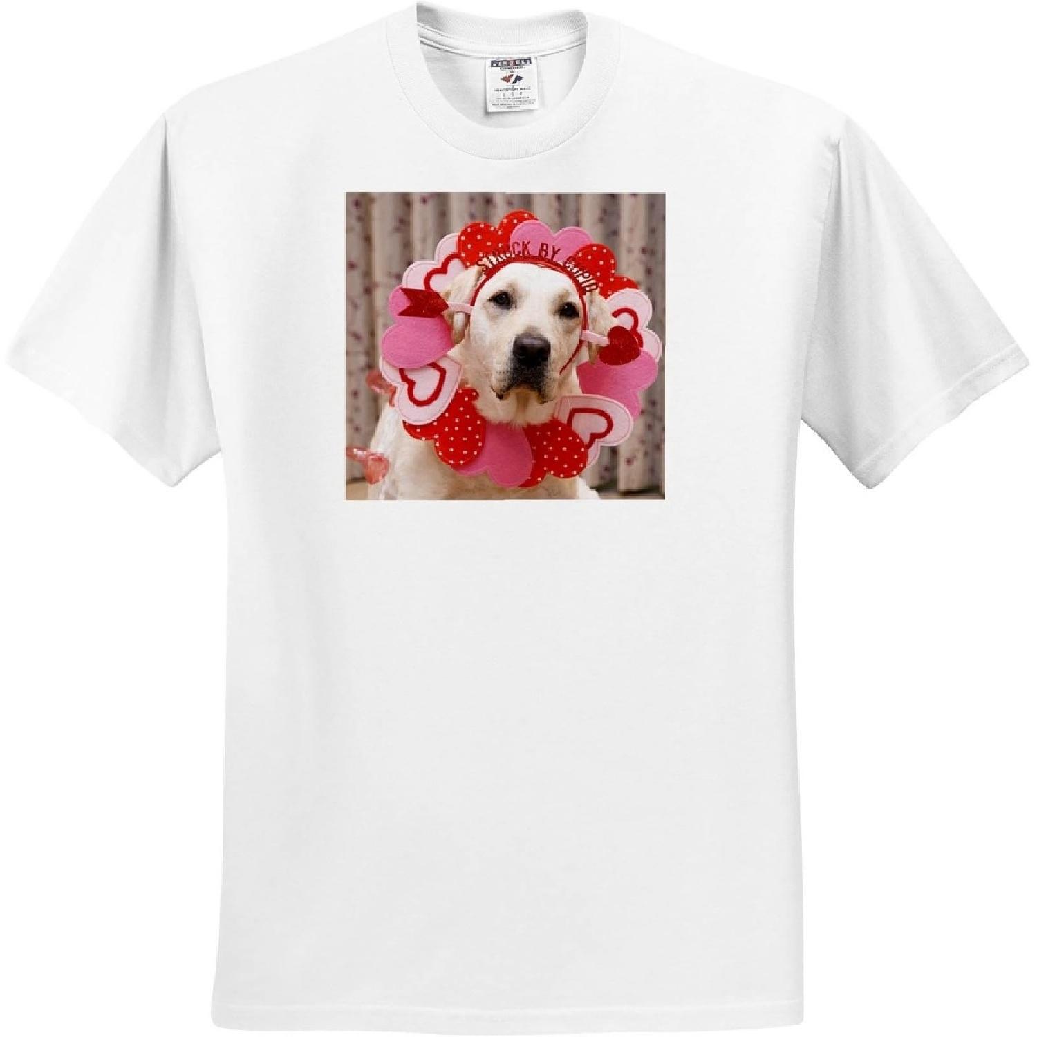 3dRose, , Arizona, Buckeye XXXXXL белый