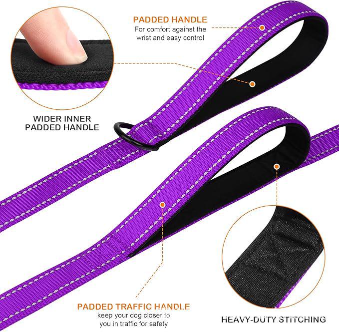 Double Layer Explosion-Proof Reflective Dog Leash - Shock-Absorbing, Thickened Pet Leash