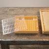 Durable Queen Bee Rearing Kit Cupular Queen Rearing Box Queen Rearing Cell Cupkit  Beekeeping