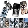 Cover for Xiaomi Redmi Note 14 12 13 ProPlus A4 A3 Pro Plus 12C 13C 14C 5G Phone Case Husky Pet Dog Wallpaper