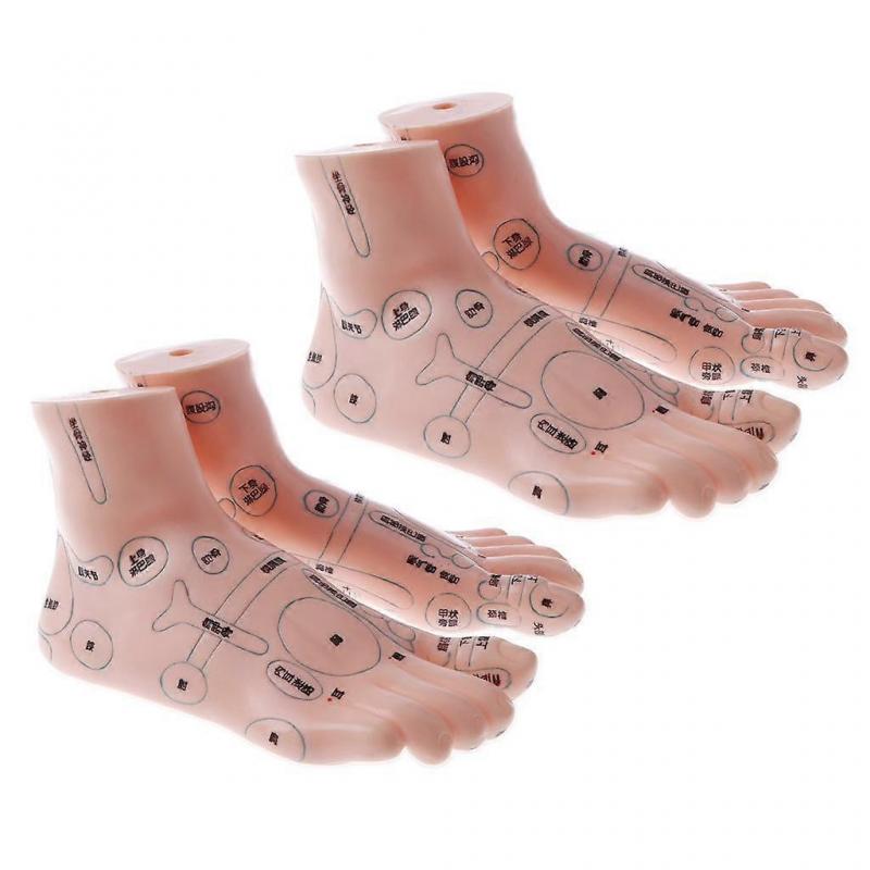 2 pair 19cm Massage Acupuncture Feet Model Reflexology Acupoint  Kit