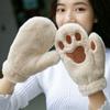 Herbst Flauschige Winddichte Bärenkralle Winter Pfoten Fäustlinge Anime Cosplay Handschuhe Katzenkralle Handschuhe Plüsch