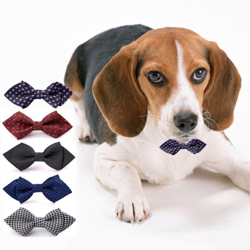 large dog neck tie