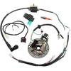 1 Set Ignition Stator Useful High Density Efficient Wiring Harness Ignition