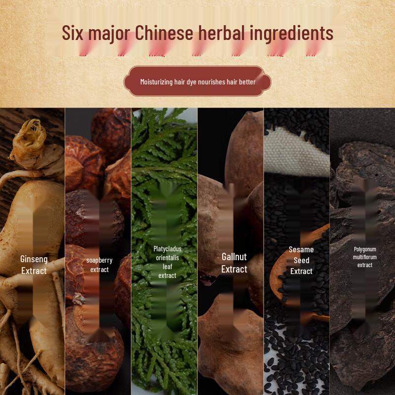 San Ge Mo Fa Jiang One Black Herbal Bubble Hair Dye
