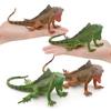 Amphibian Lizard And Reptile Model Pvc Static Figures For Kids Use Educational