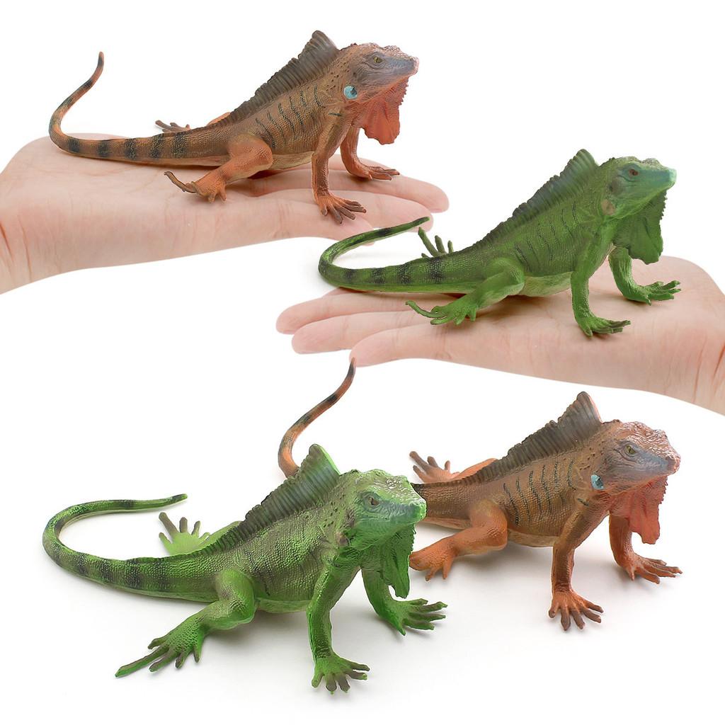 Amphibian Lizard And Reptile Model Pvc Static Figures For Kids Use Educational