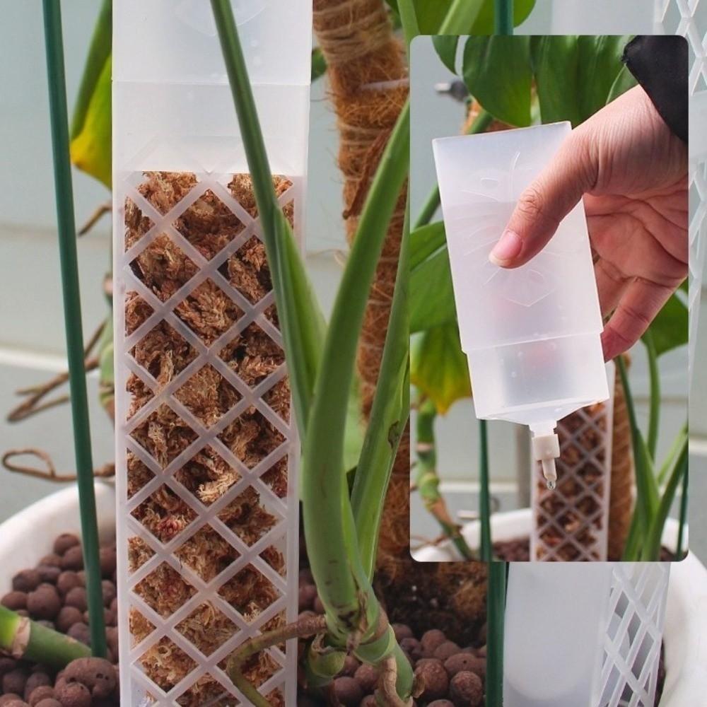 Palo de Trepa para Plantas en Forma de D Caudal Ajustable Poste Columna de Musgo Flores en Maceta