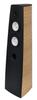 Acoustique Quality CANTO 5 - Audiophile Floor Standing Speaker, Two-way Design with 230W Power / SB ACOUSTICS, Acoustique Quality