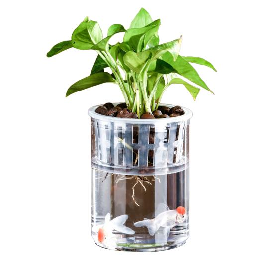 Aquaponik Betta Fischtank Transparenter Kunststoff Bruchfester Pflanzbehälter Ökosystem Aquarium Schreibtisch Aquaponik System für Betta Fisch Zimmerpflanzen