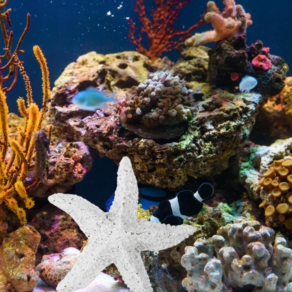 2Pcs Sea Star Decor High Quality Resin Marine Animals Fish Tank Ornament for Aquarium Decor Chic Stylish Design