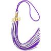 Bachelor's Cap Graduation Tassel, Bachelor's Gown Pendant, Handcrafted Hanging Tassel