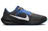 Nike Pegasus 40 Los Angeles Chargers DZ5948-001