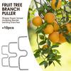 30pcs Fruit Tree Branch plant Supports Pressing Spreader Improve Production of the Fruit for Spreading Crotch Angles Branches
