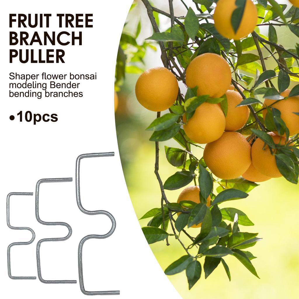 30pcs Fruit Tree Branch plant Supports Pressing Spreader Improve Production of the Fruit for Spreading Crotch Angles Branches