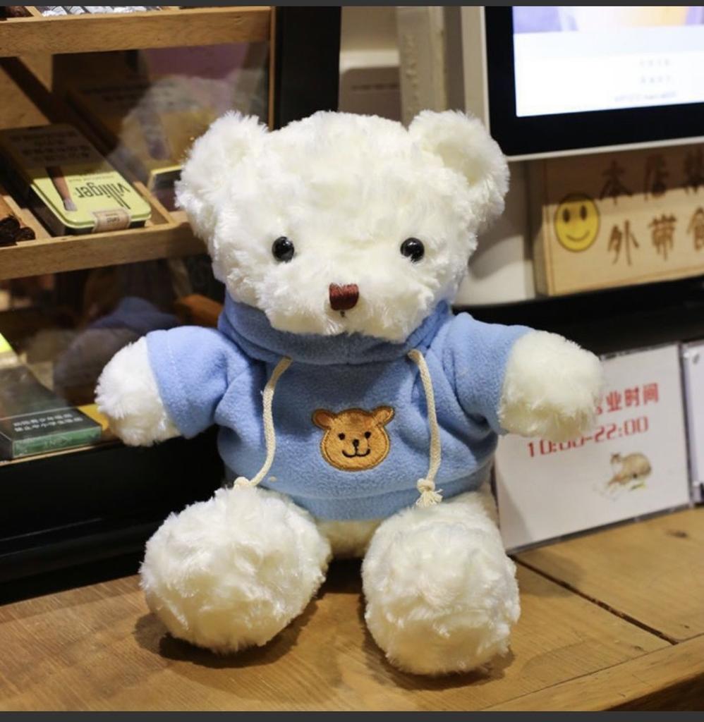 Teddy Bear Adorable Hoodie Cute Girl Kids Companionship Plush Toy Birthday Gift